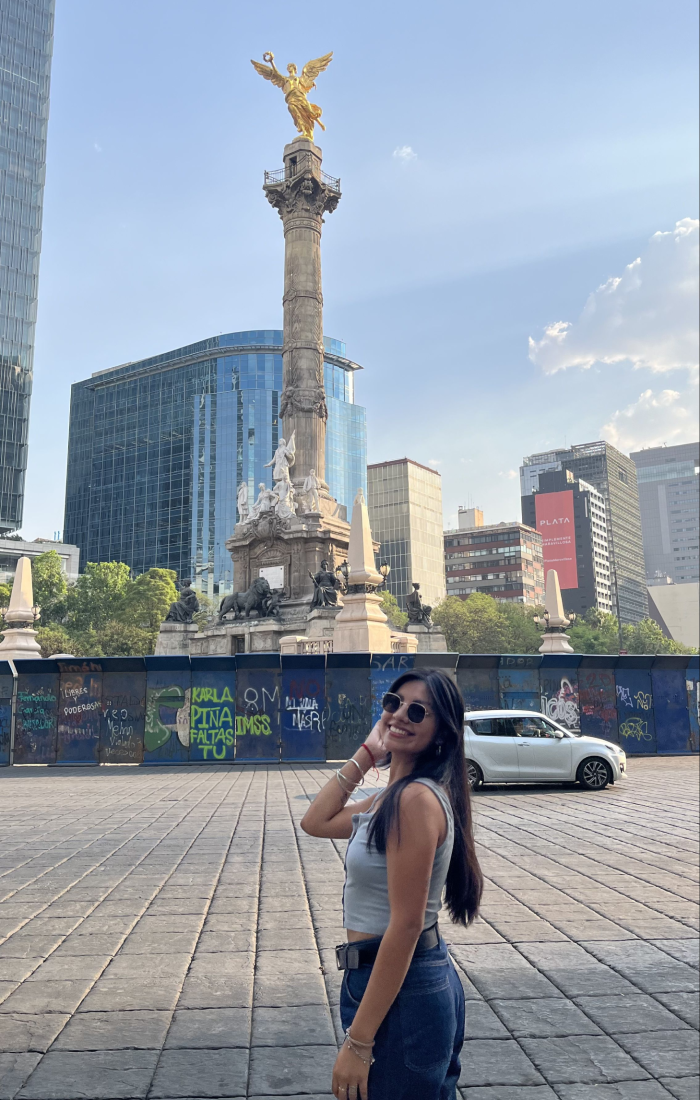 DESCRIPCION_Mesa de trabajo 1