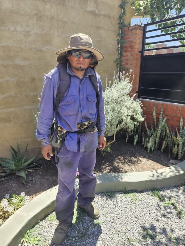 Imagen de WhatsApp 2024-12-20 a las 13.19.11_1af4342d